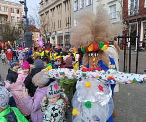 Przemarsz przedszkolaków z marzannami ulicami Grudziądza