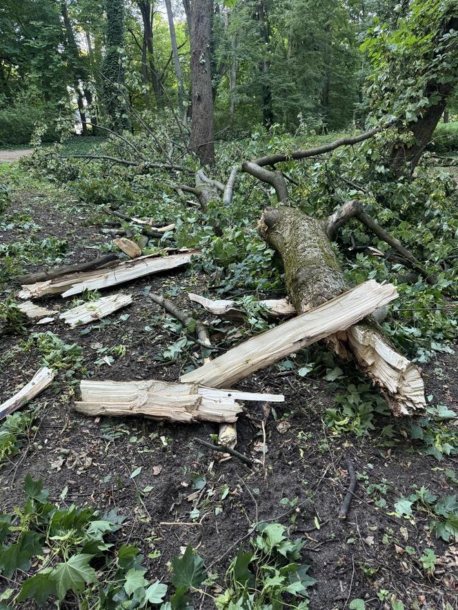 Łazienki Królewskie jednak zamknięte do odwołania