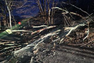 Wichura w województwie pomorskim.