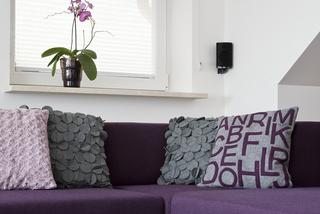 salon z fioletowa kanapą