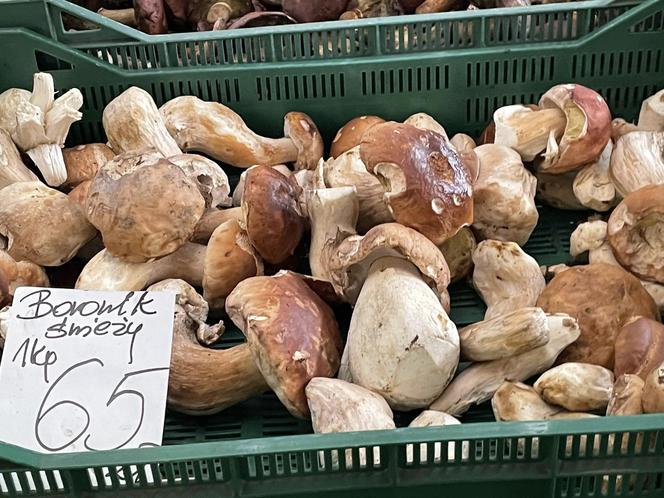 Ceny grzybów w Krakowie. Tyle kosztują świeże borowiki na Starym Kleparzu