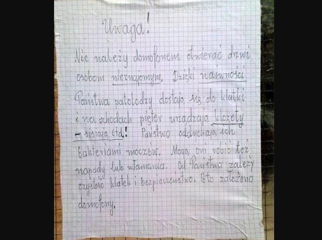 Oto najlepsze ogłoszenia z klatek schodowych!