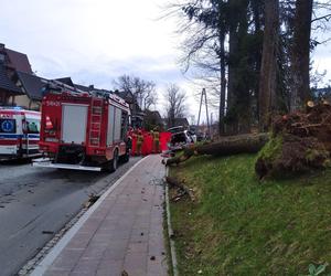 Tragedia w Zakopanem. Drzewo spadło na samochód. Młoda kobieta nie żyje