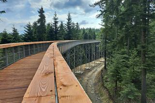 Ścieżka w koronach drzew - Ciężkowice