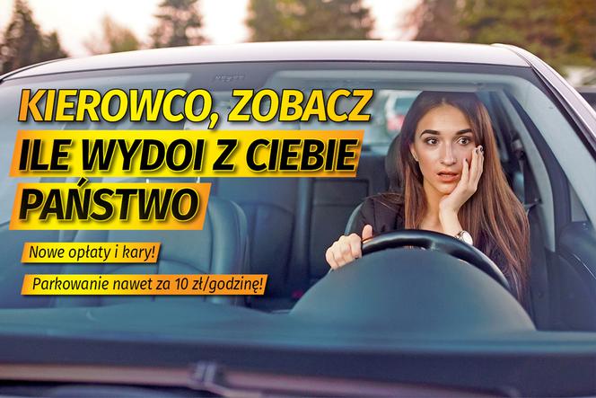 Kierowco! Zobacz, ile wydoi z ciebie państwo!