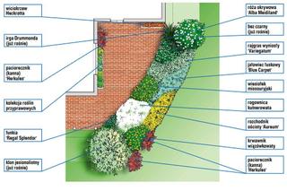 Projekt obsadzenia słonecznego tarasu