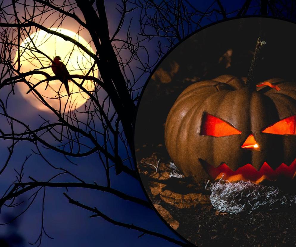 To będzie prawdziwy przedsmak Halloween. Tę pełnię Księżyca jak z horroru zapamiętasz na długo!