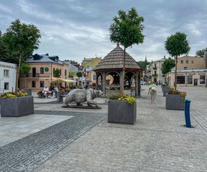 Chełm