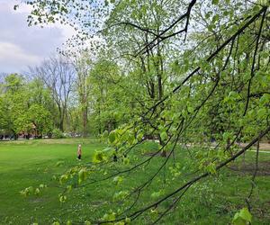 Kraków. Wyremontowany park Bednarskiego oficjalnie otwarty