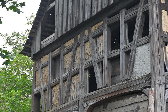 Torhaus - przysłupowy dom bramny z Działoszyna pod Bogatynią