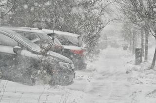Śnieg i mróz w Polsce 2023! Atak zimy jeszcze w tym tygodniu