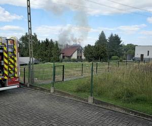 Pożar domu jednorodzinnego w Rybniku. Z ogniem walczyło kilkudziesięciu strażaków