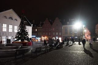 Święta w Olsztynie odpalone! Na Starym Mieście rozbłysła piękna choinka [ZDJĘCIA]