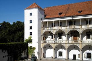 Zamek w Brzegu - zobacz zdjęcia Muzeum Piastów Śląskich w woj. opolskim