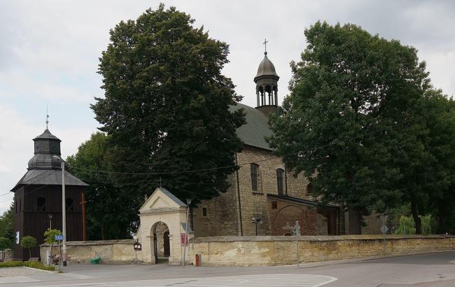 To jedno z najmniejszych miast w Małopolsce. Słynie z najpiękniejszego pałacu w regionie