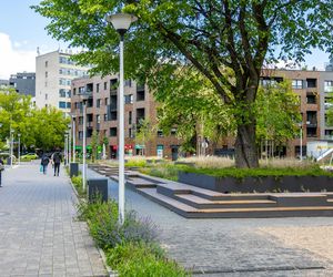 Centrum Lokalne Kamionek wiosną 2025 r.