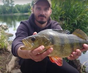 Wędkują w środku miasta i to nocą. Brda i centrum Bydgoszczy to raj dla miłośników street fishingu