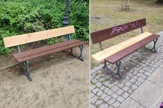 Dziwne ławki w parku Dreszera. O co chodzi?
