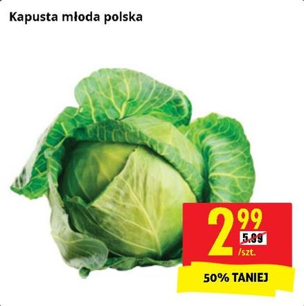 Promocje w Biedronce 28 maja