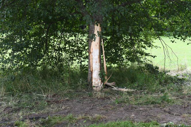 Pomorskie/ Dwa lata więzienia dla kierowcy za spowodowanie wypadku, w którym zginęły cztery osoby