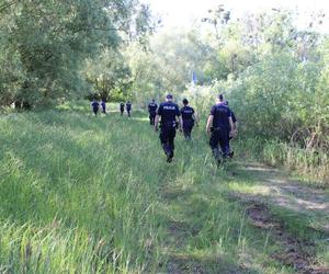 Działania służb na Wiśle w Toruniu. Straż, policja, strażnicy miejscy i grupa poszukiwawcza w akcji