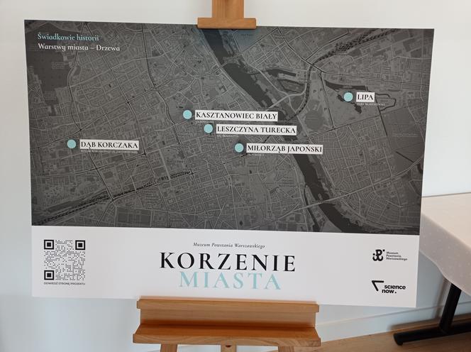 Drzewa na mapie Korzeni Miasta