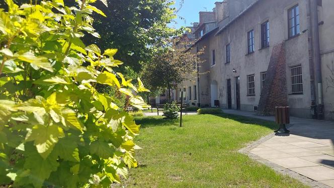 Zamość