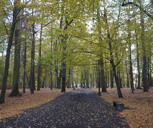 Park Lubomirskich w Białymstoku jesienią 