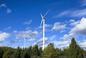 Przydomowe elektrownie wiatrowe z dofinansowaniem w 2024. Jakie warunki dopłat?
