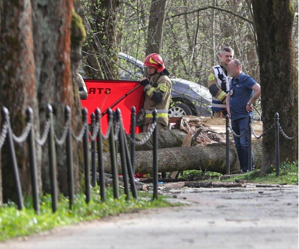 Rabka-Zdrój. Burmistrz ogłosił dwudniową żałobę po śmierci trzech osób przygniecionych powalonym drzewem