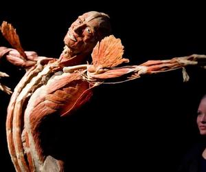 Kontrowersyjna wystawa Body Worlds wraca do Katowic. Zobaczymy ją w galerii Szyb Wilson