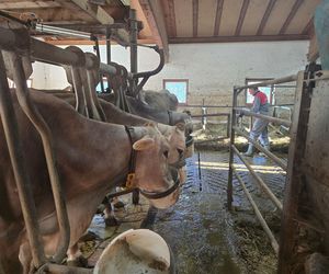 Truden w Południowym Tyrolu. Ucieczka do natury jako powrót do siebie
