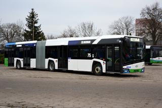 Coraz więcej autobusów hybrydowych w Szczecinie