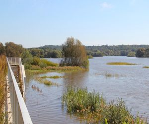 Słubice przygotowują się na wielką wodę. Służby wspierają mieszkańców