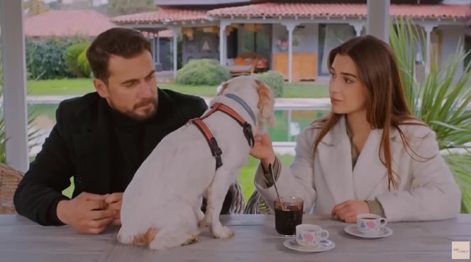 Miłość i nadzieja odc. 330. Sila, Kuzey