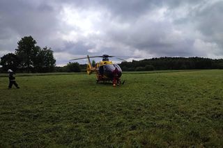 Wypadek pod Radomskiem. Bus wbił się w drzewo! Sześć osób w szpitalu, droga zablokowana