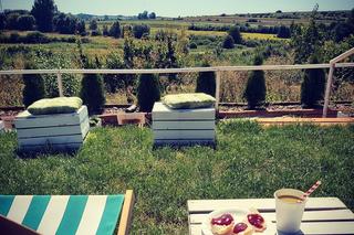 Farma Zdrowia J@busko w Pęczelicach zaprasza