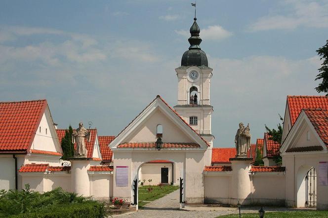 Wigierski Park Narodowy. To bezcenny obszar podlaskiej natury