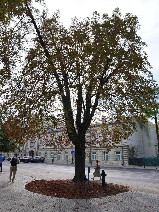 Wrześniowy upał w Lublinie i spokój w centrum miasta