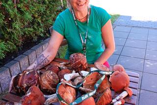 Ogólnopolski zlot grzybiarzy w Przysusze