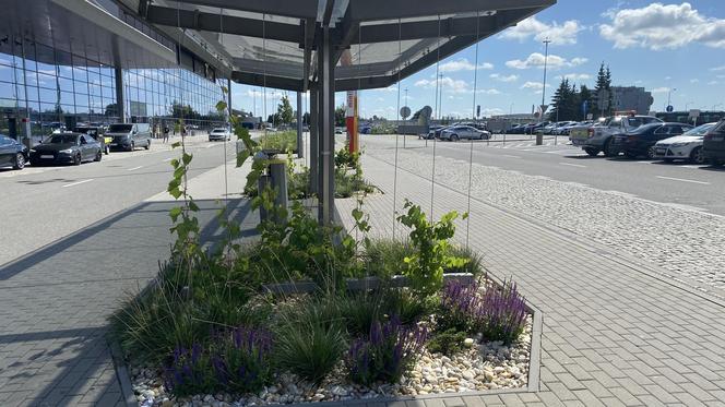 Zazieleniony teren parkingu i pasażu przed terminalami Katowice Airport