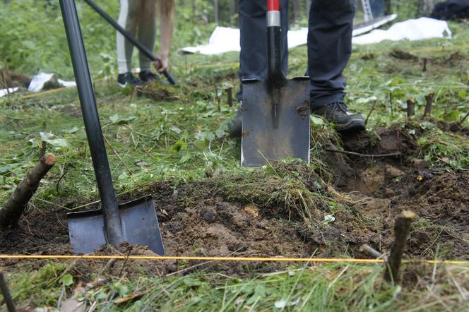 Odnaleziono zaginione cmentarzysko Galindów. Wykopali już pierwsze skarby [ZDJĘCIA]