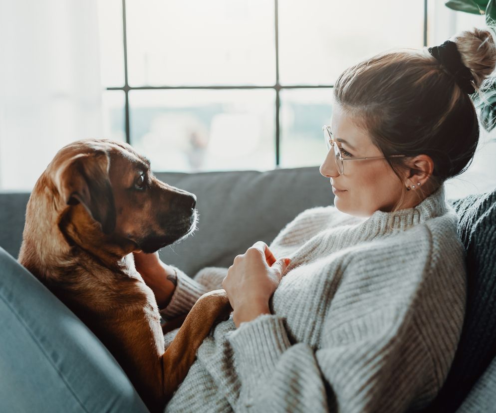 8 chorób, którymi możesz zarazić się od psa