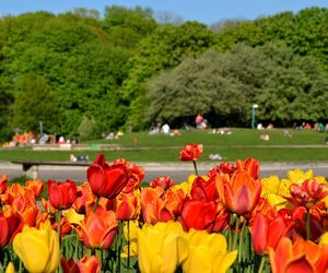 Najpiękniejszy park na świecie znajduje się w Warszawie? Ten Central Park wygląda jak z bajki Disneya