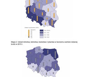 Matura próbna 2024 geografia