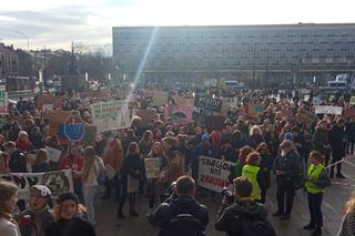 Wielki protest w Krakowie. Strajkowali w obronie klimatu 