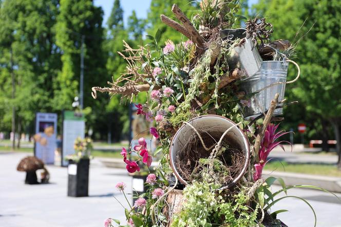 Weekend z florystyką w Lublinie. Zobacz imponujące roślinne instalacje w centrum miasta!