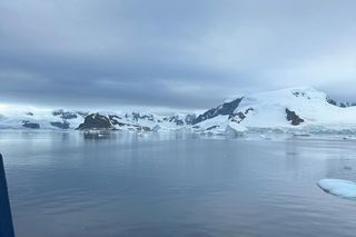 Antarktyda Denys Zinovskyi