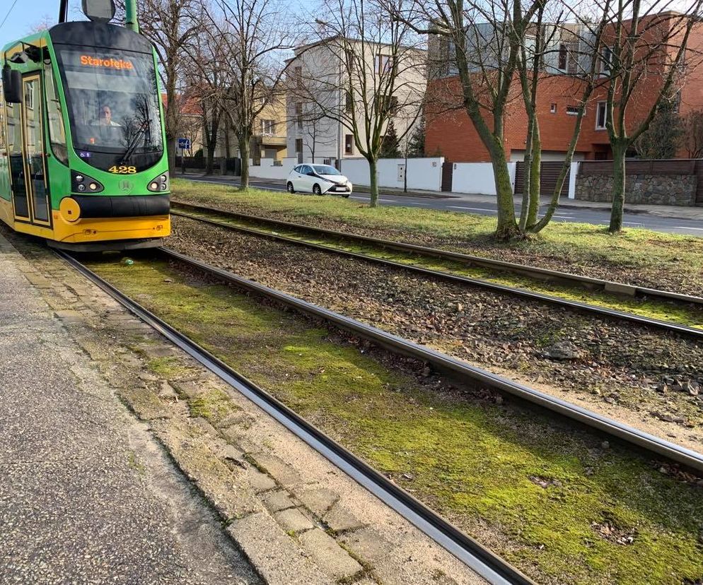 Tramwaj Poznań