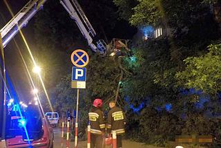 Żoliborz: Drzewo przygniotło samochód